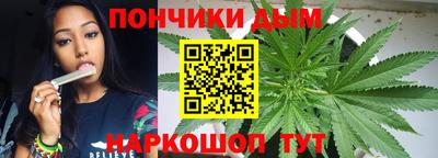 стаф Новокубанск
