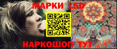 стаф Новокубанск