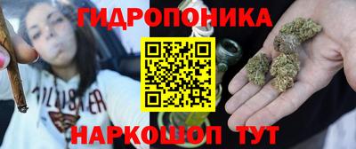 дживик Новозыбков